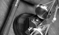 Etiam dictum egestas